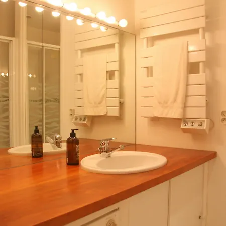 Apartment Le Loft Bonaparte